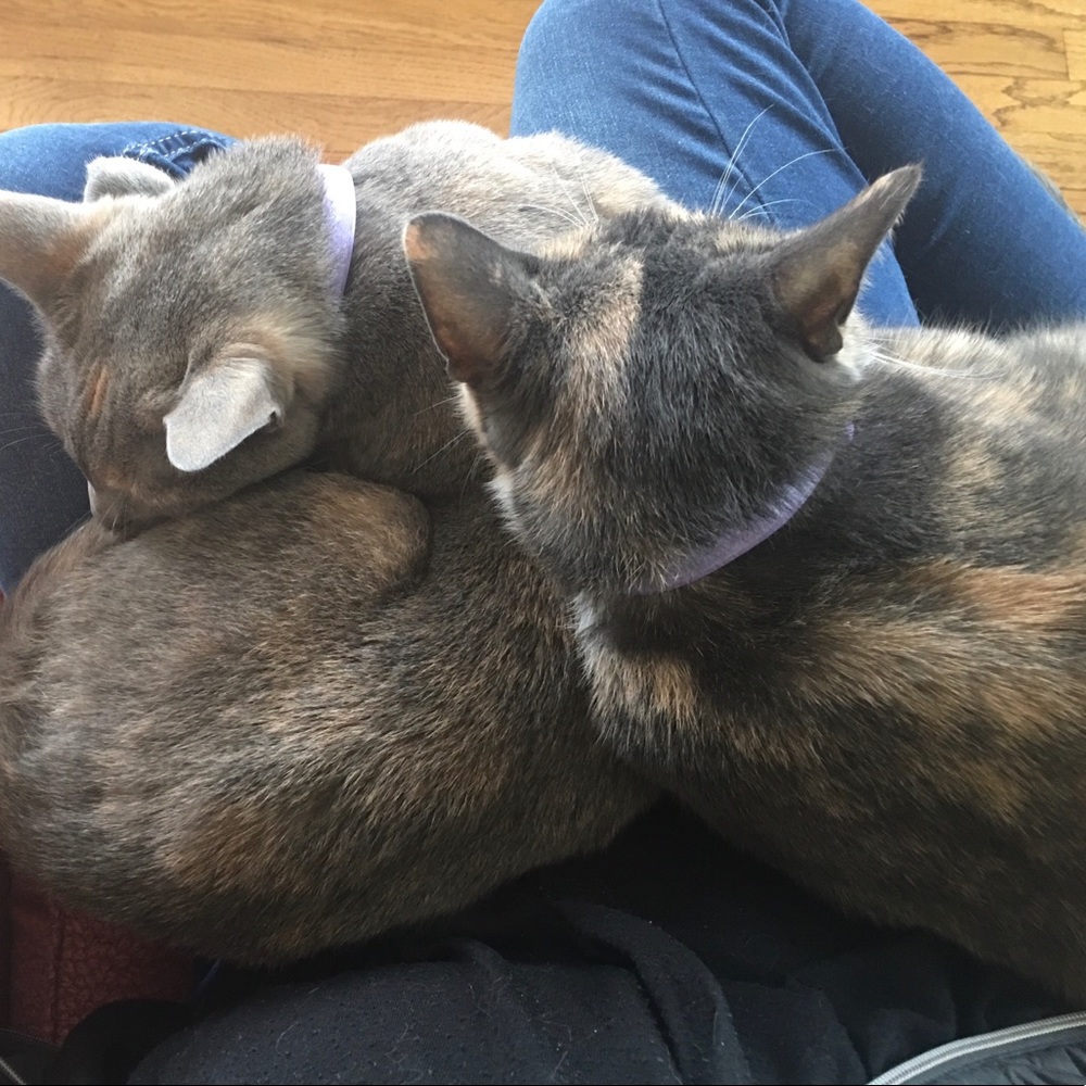 Meet your Posher, Kimberly